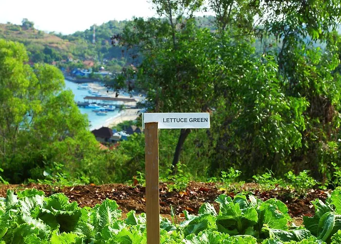 Bloo Lagoon Eco Village * Padang Bai